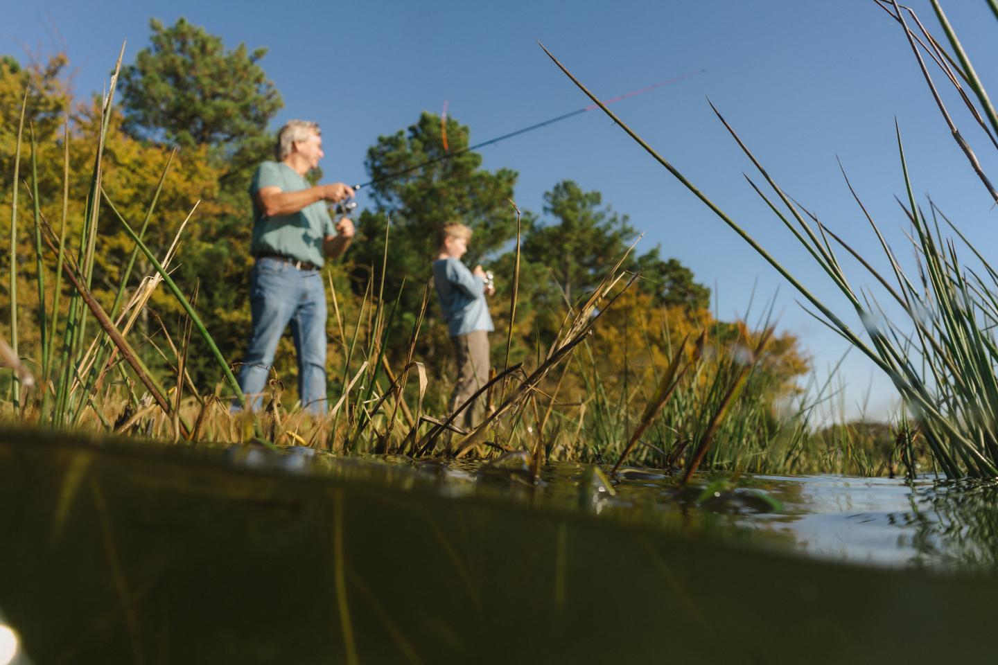 Two people fishing in a grassy lakeside setting under a clear blue sky.