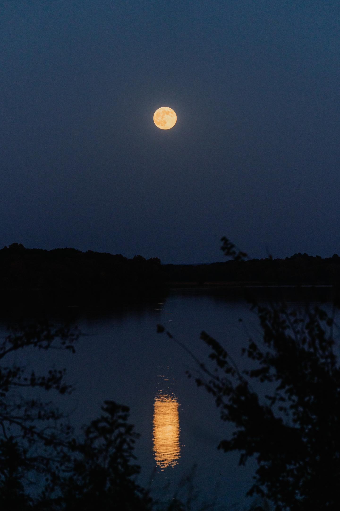 Full moon reflecting on a calm lake at night, surrounded by trees.