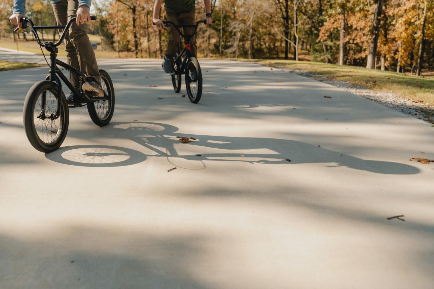 Two people riding bikes on a sunny path, trees with autumn leaves in the background.