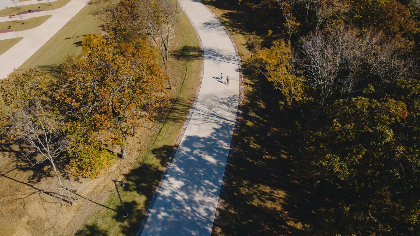 Pathway through park with autumn trees and scattered shadows.