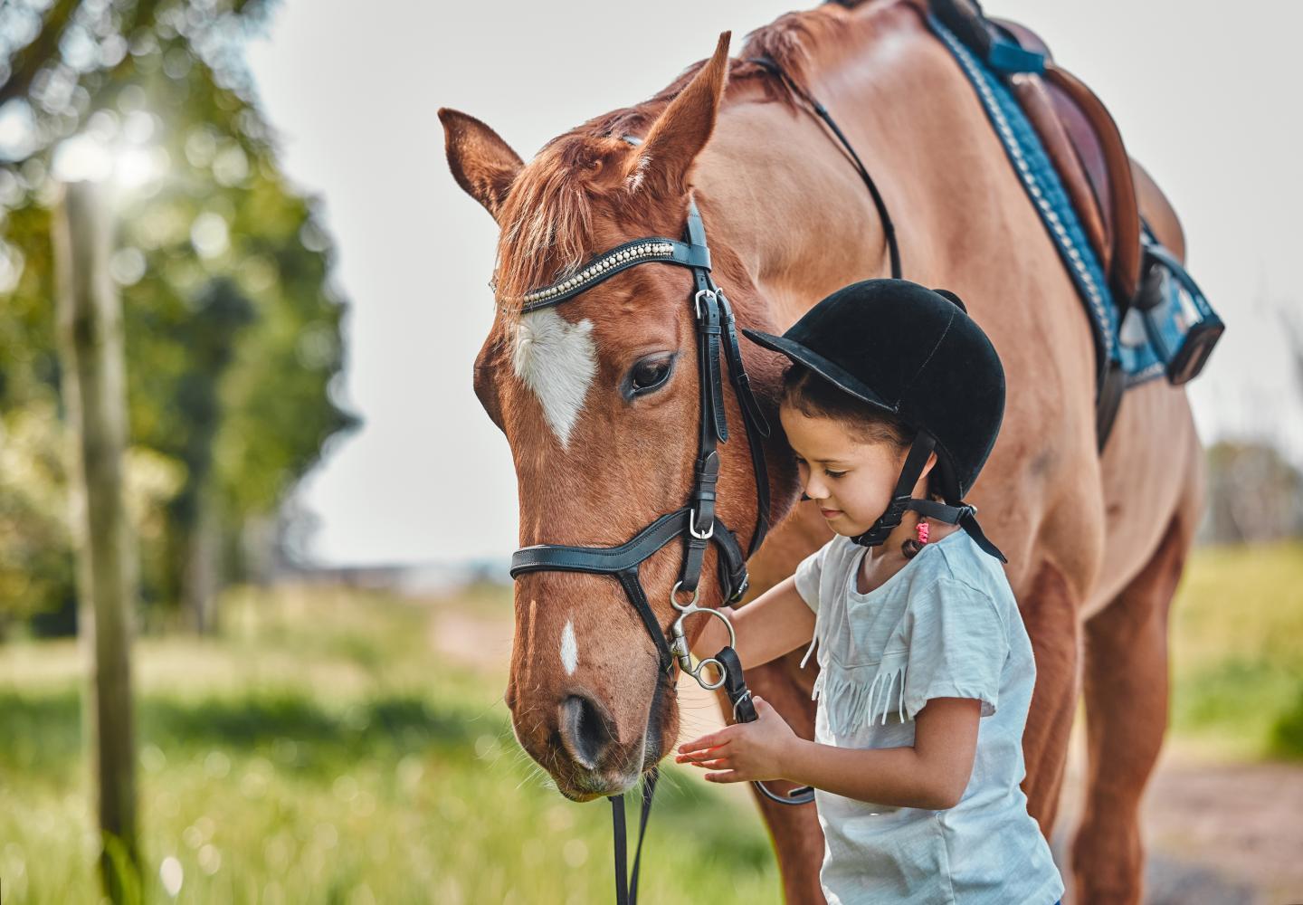 Child in helmet patting a brown horse in a sunny field.