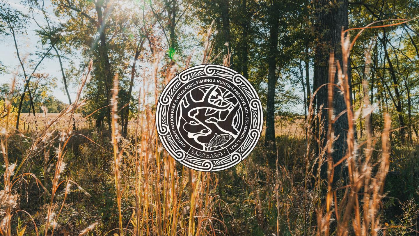 Sunlit autumn forest with intricate circular graphic overlay.