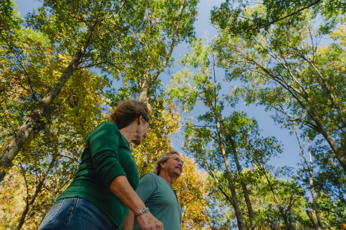 Two people walking in a lush forest, looking up at the tall trees.